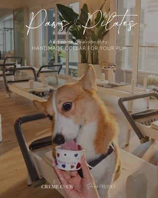 Paws & Pilates
